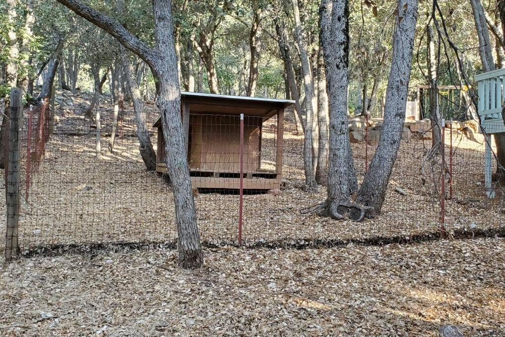 Pine Hills Cabin In Julian Exterior photo